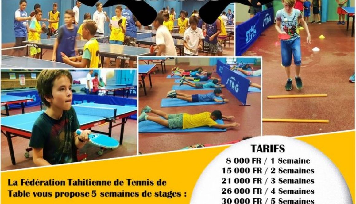 Affiche - Ping Pong Camp